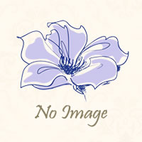 すず